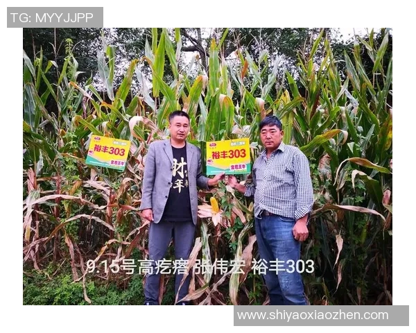 头号种子与三号种子的巅峰对决谁将赢得最终胜利